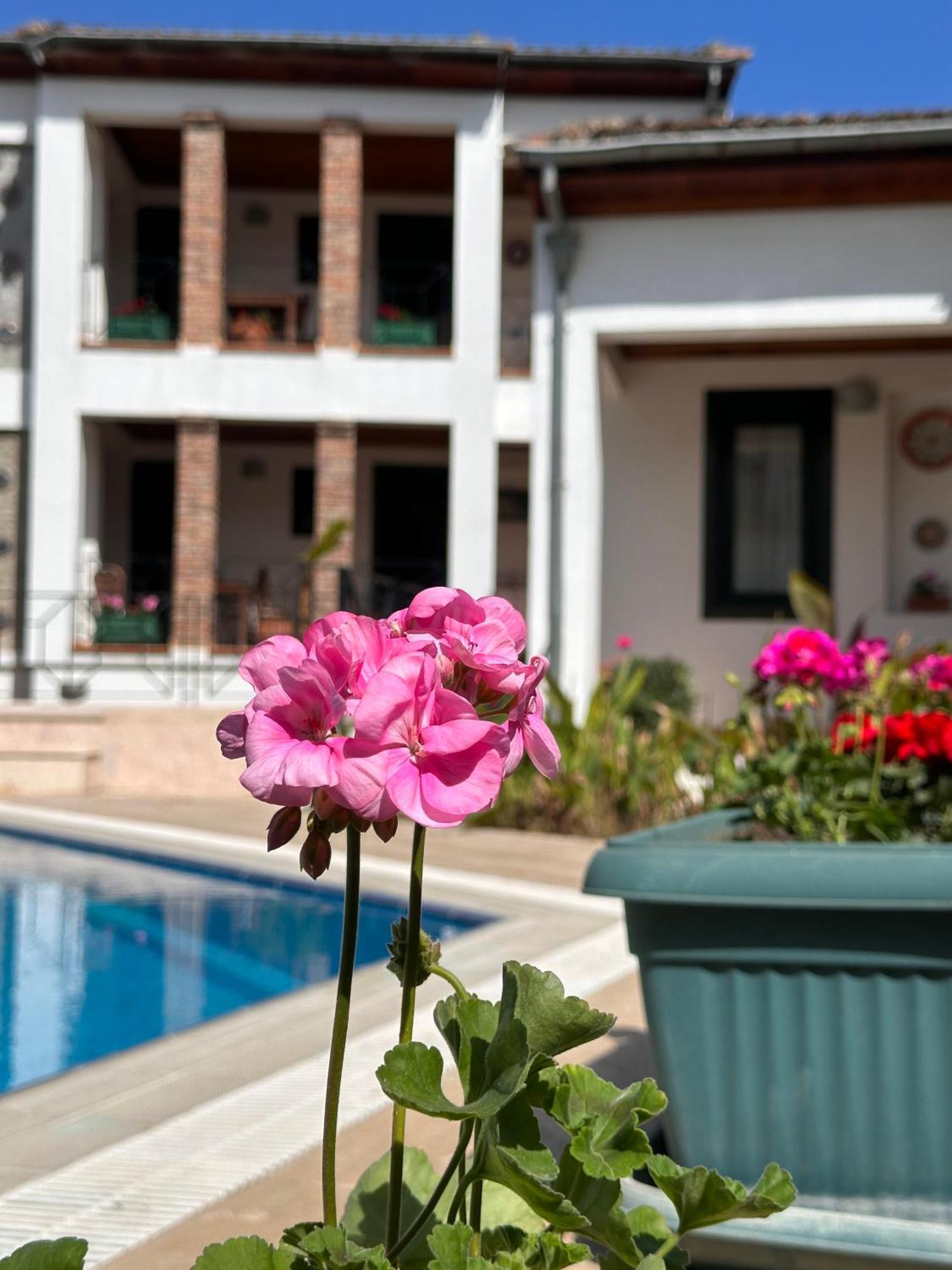 Akay Hotel سلجوك المظهر الخارجي الصورة